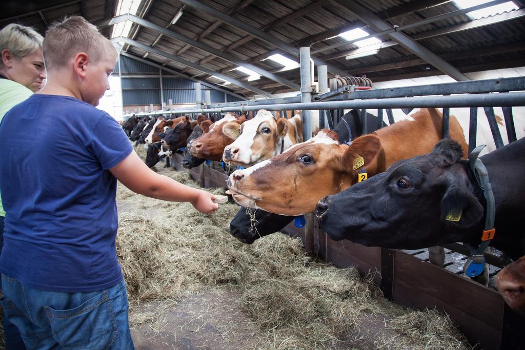 Farm Overleekerhoeve Монникендам Экстерьер фото